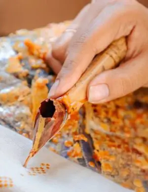 Making With Meaning