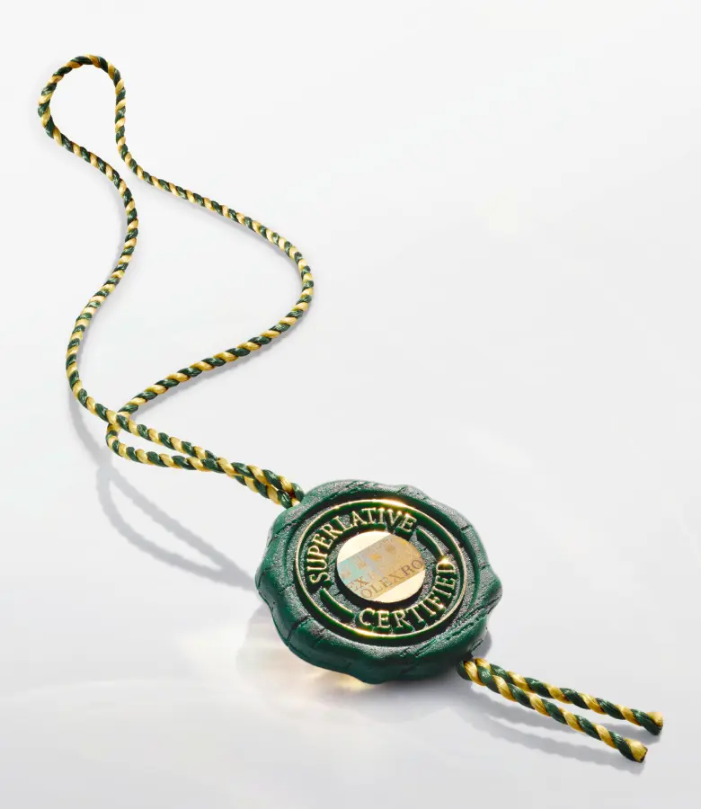 rolex-oyster-story-elmt_2602stj_0002_ecirgb-portrait